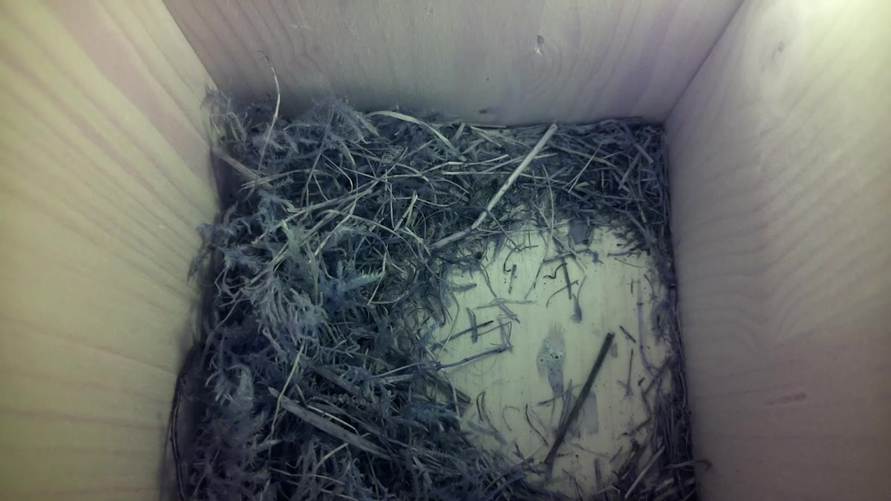 Aufnahme aus dem Vogelhaus
