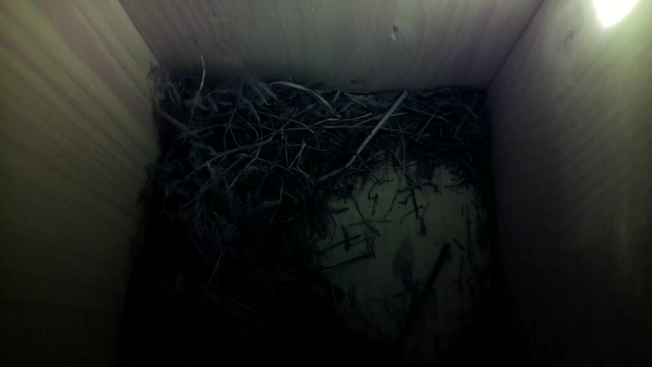 Aufnahme aus dem Vogelhaus