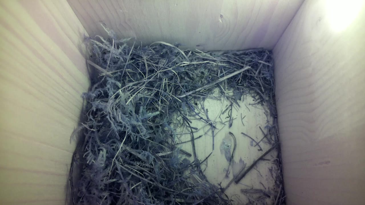 Aufnahme aus dem Vogelhaus
