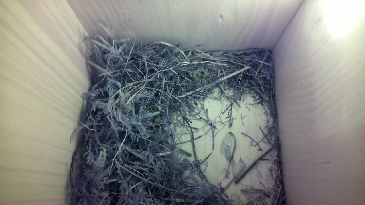 Aufnahme aus dem Vogelhaus