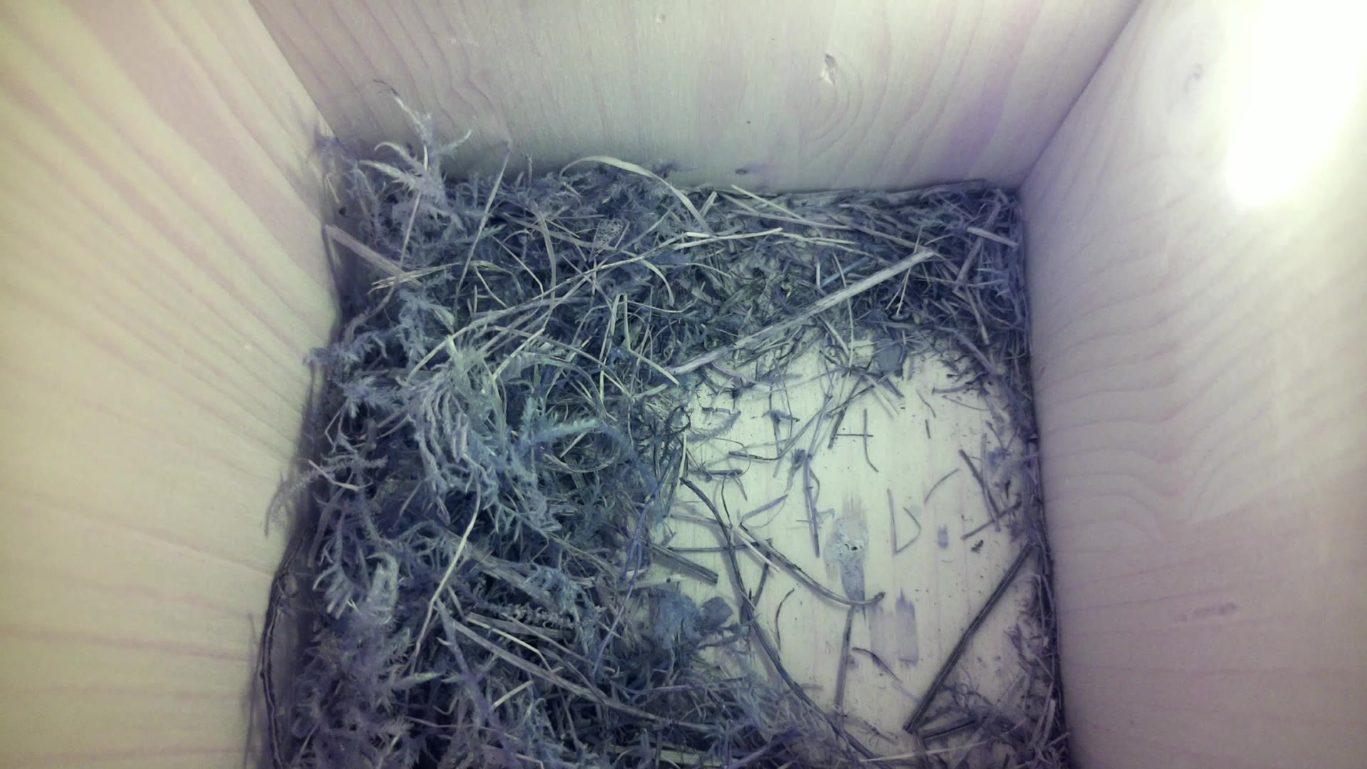 Aufnahme aus dem Vogelhaus