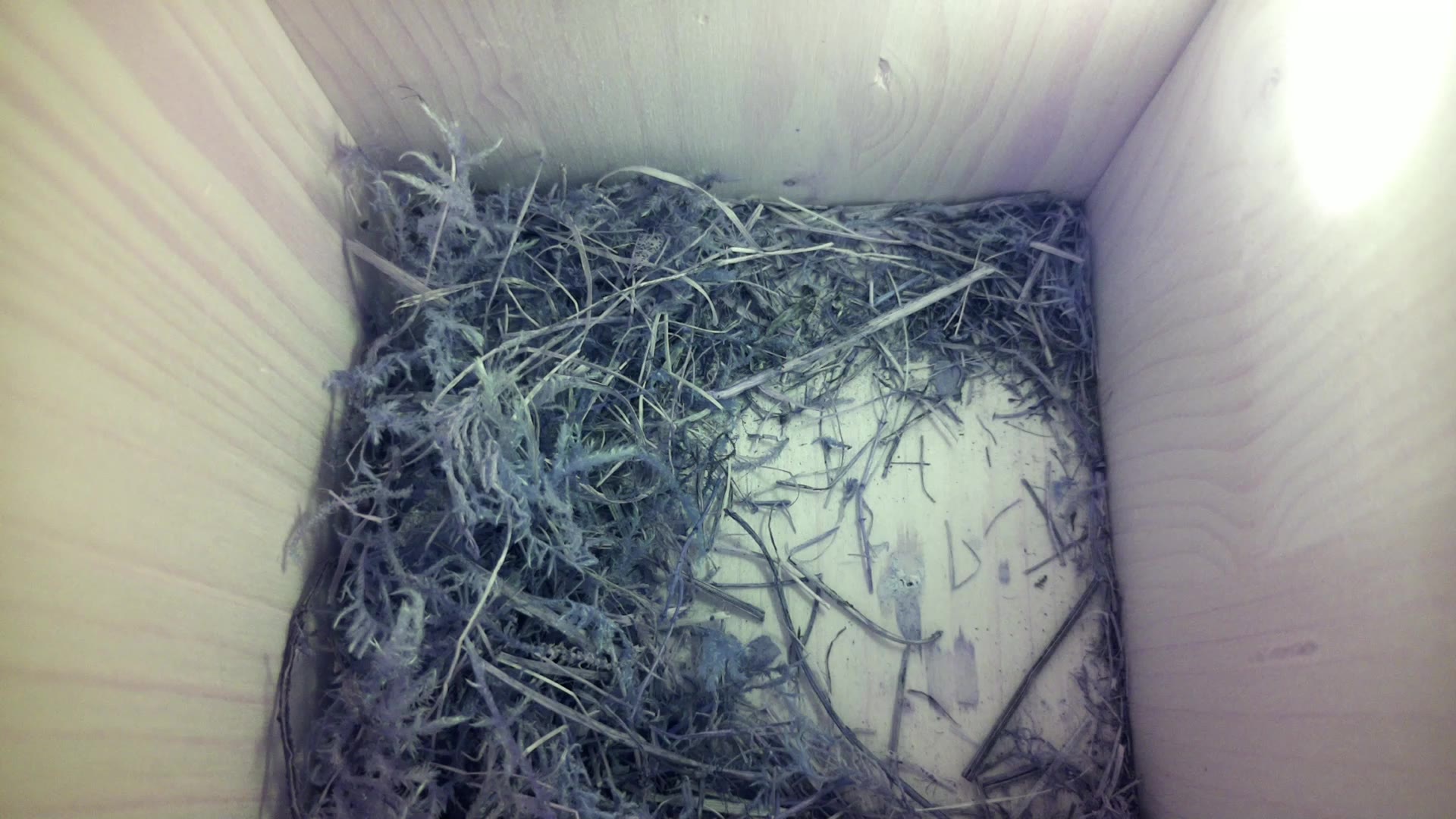 Aufnahme aus dem Vogelhaus