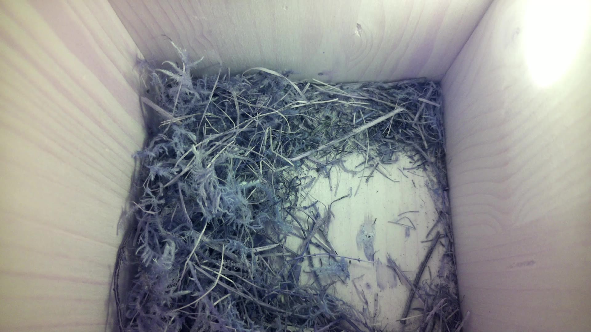 Aufnahme aus dem Vogelhaus