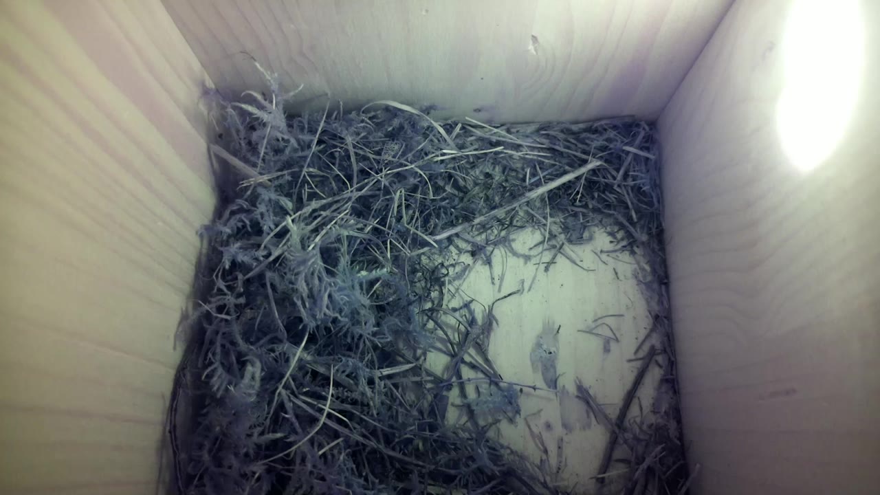 Aufnahme aus dem Vogelhaus