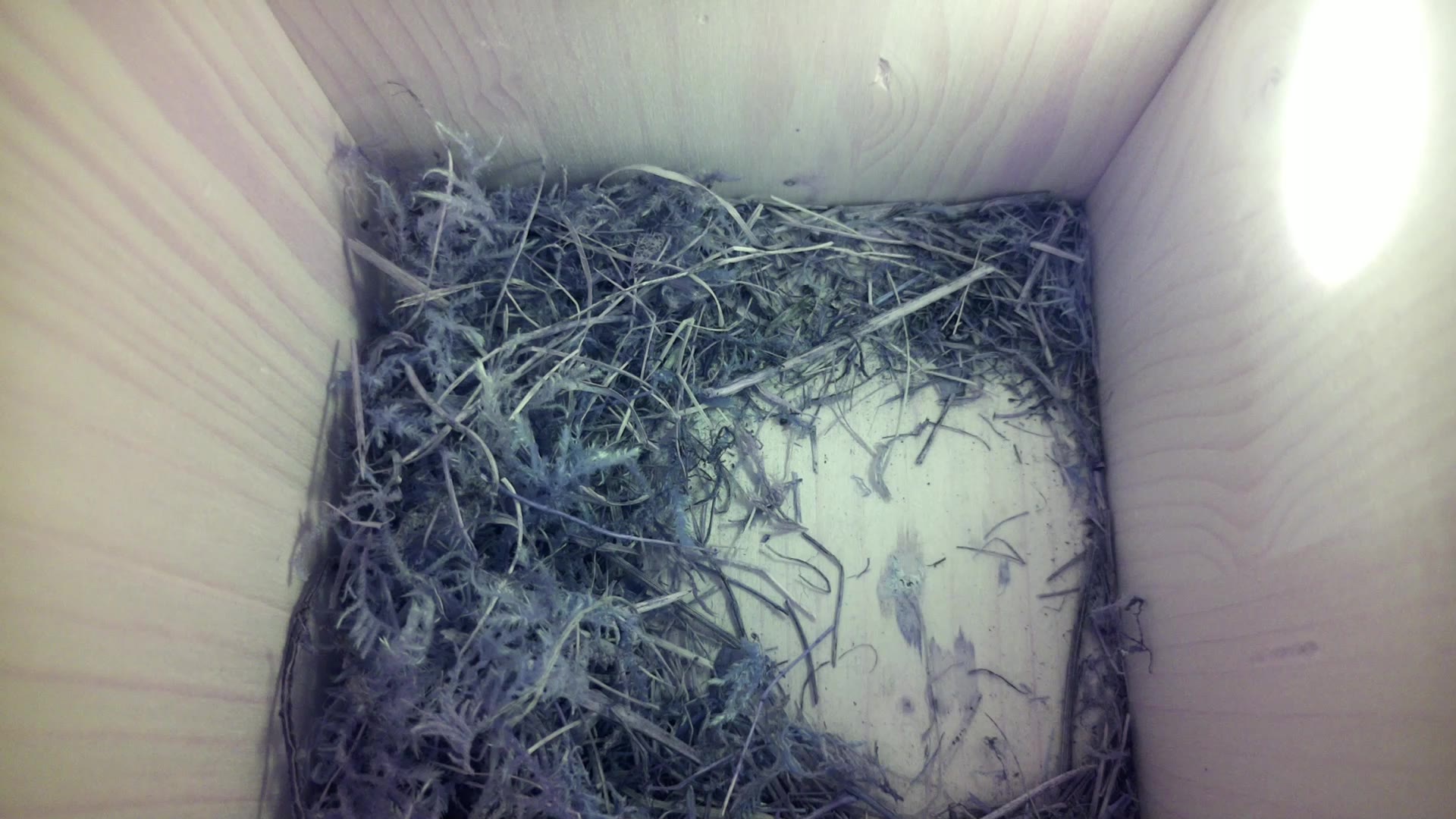 Aufnahme aus dem Vogelhaus