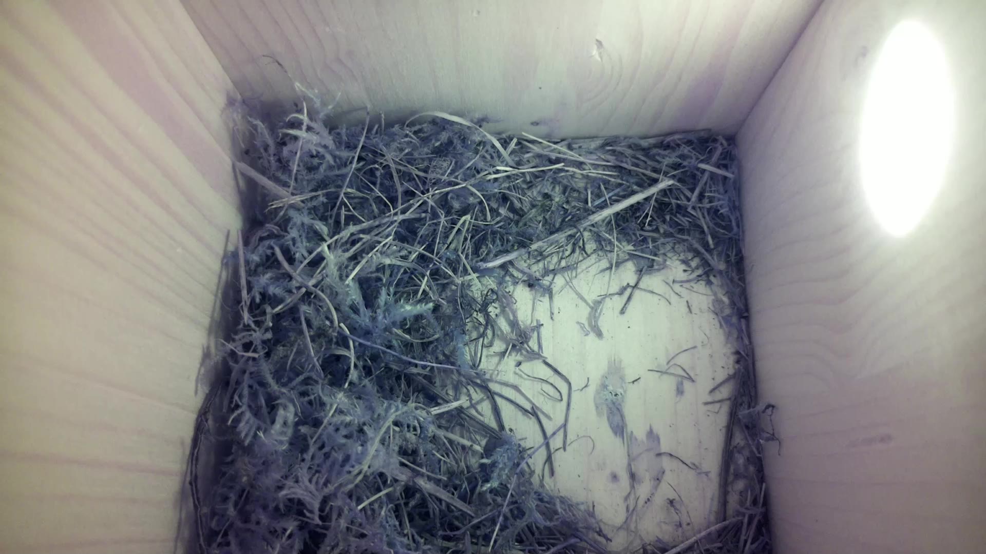 Aufnahme aus dem Vogelhaus