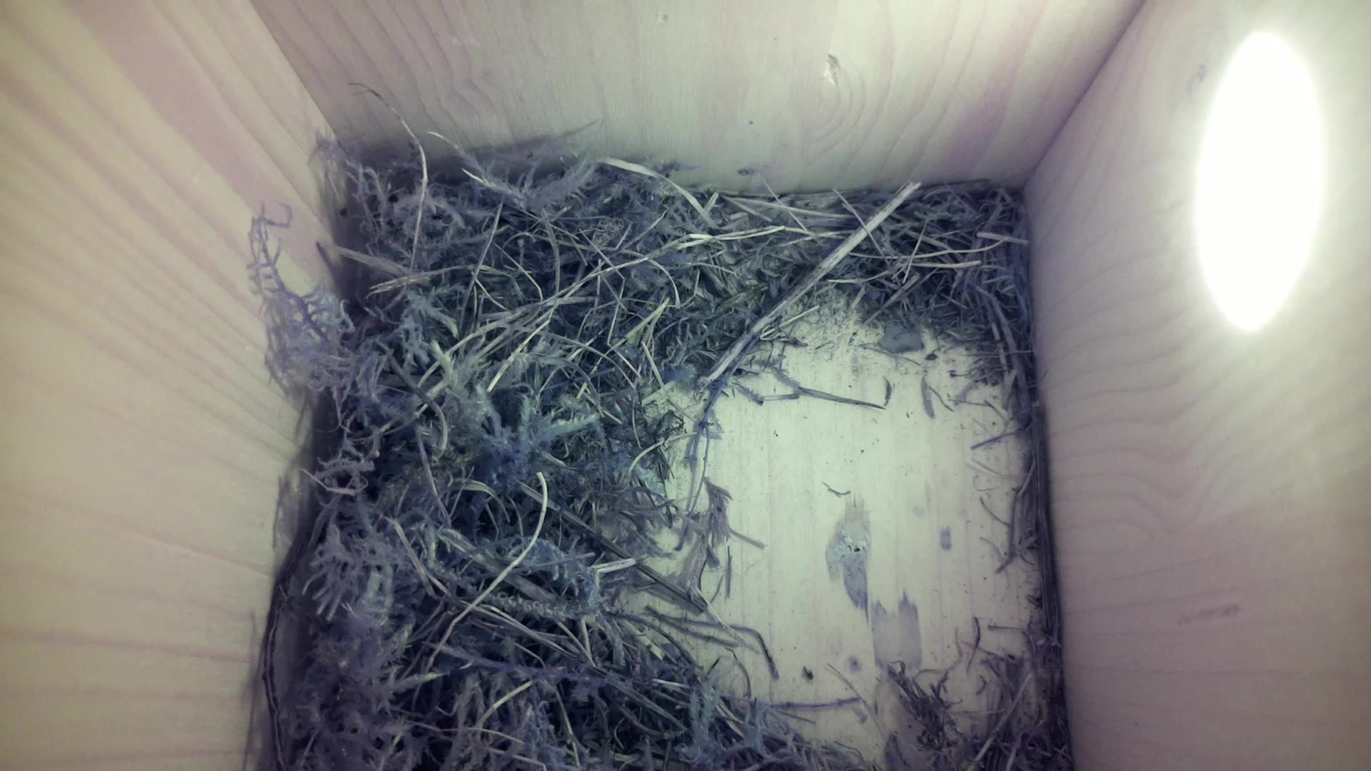 Aufnahme aus dem Vogelhaus