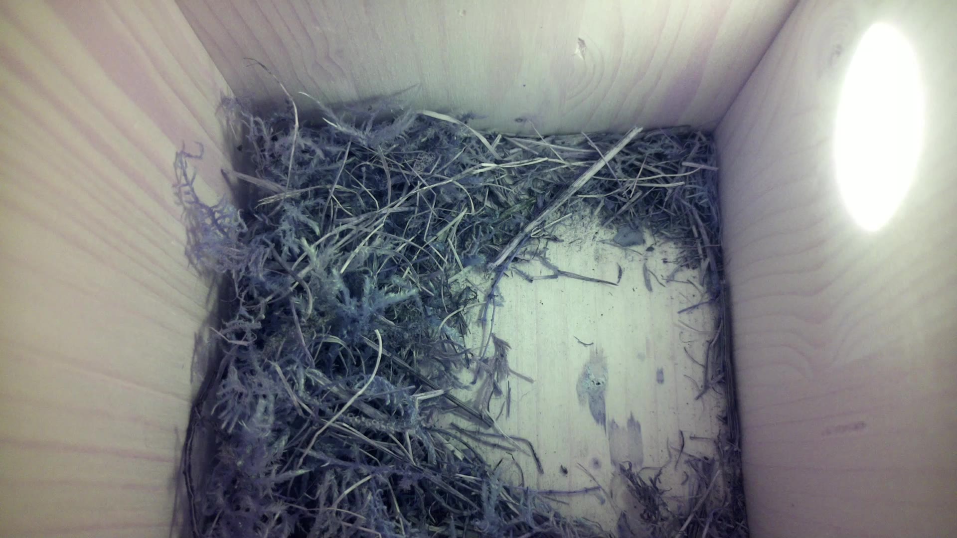 Aufnahme aus dem Vogelhaus
