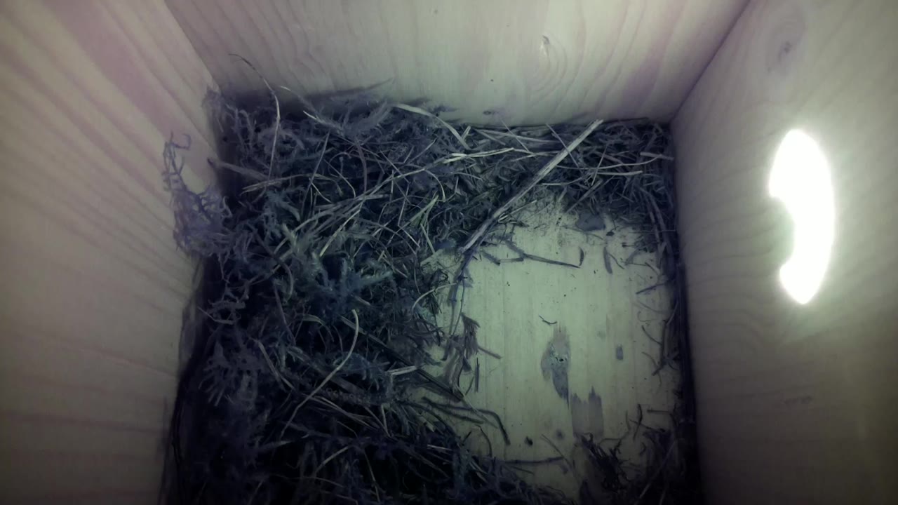 Aufnahme aus dem Vogelhaus