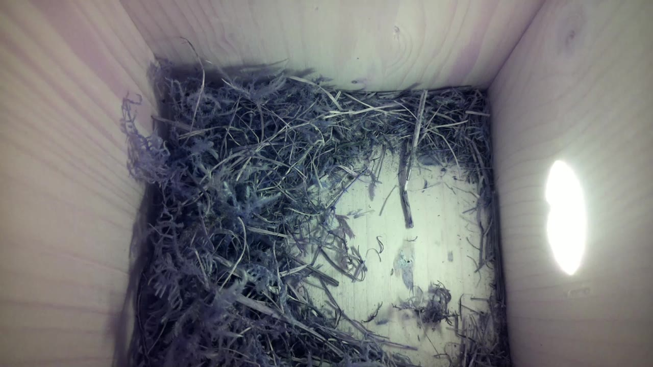 Aufnahme aus dem Vogelhaus