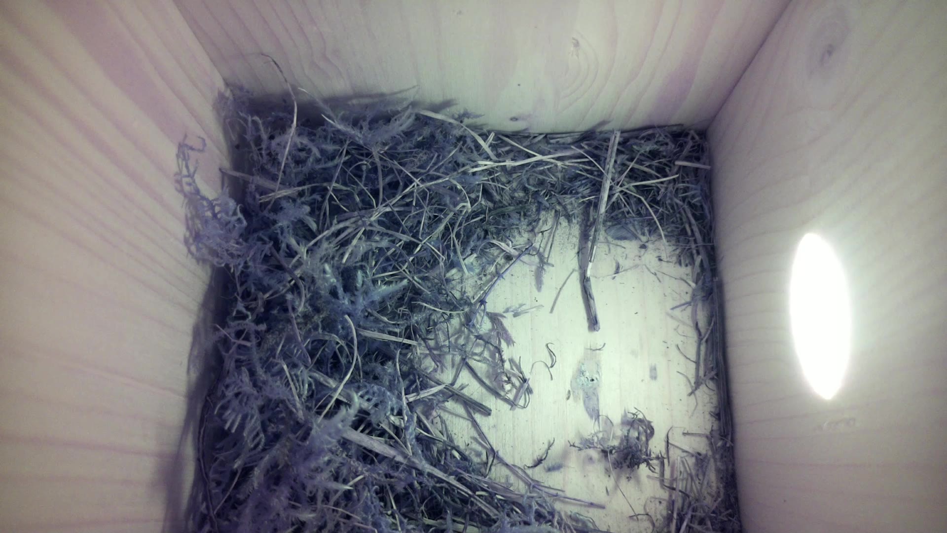 Aufnahme aus dem Vogelhaus