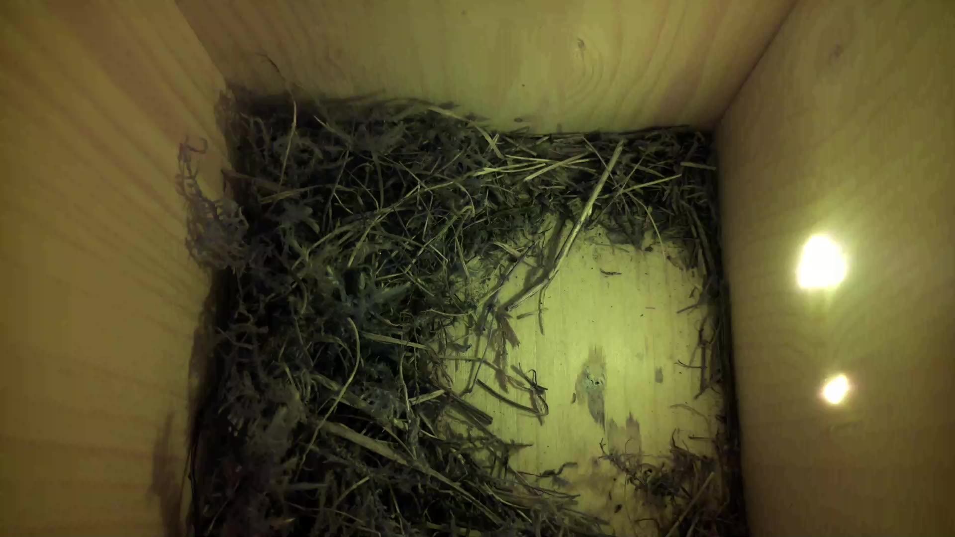 Aufnahme aus dem Vogelhaus