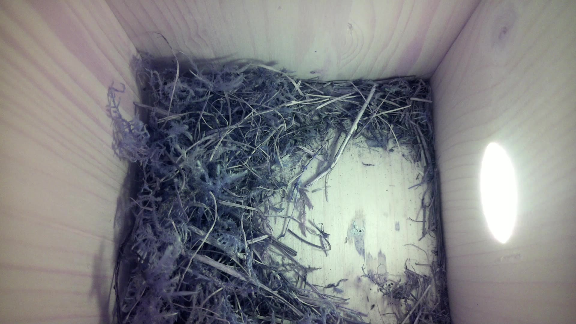 Aufnahme aus dem Vogelhaus