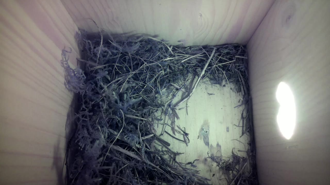 Aufnahme aus dem Vogelhaus