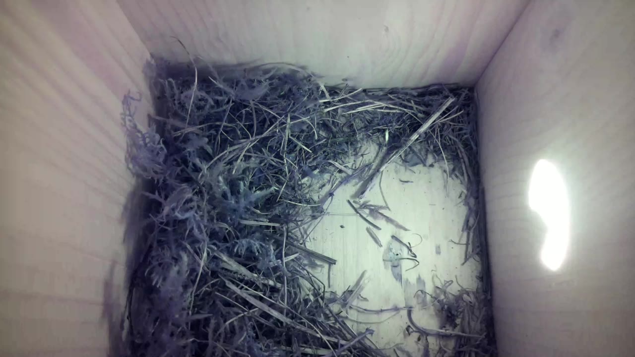 Aufnahme aus dem Vogelhaus