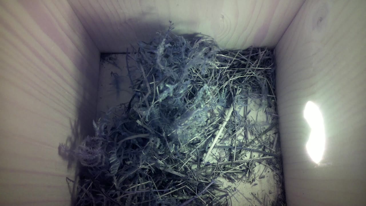 Aufnahme aus dem Vogelhaus