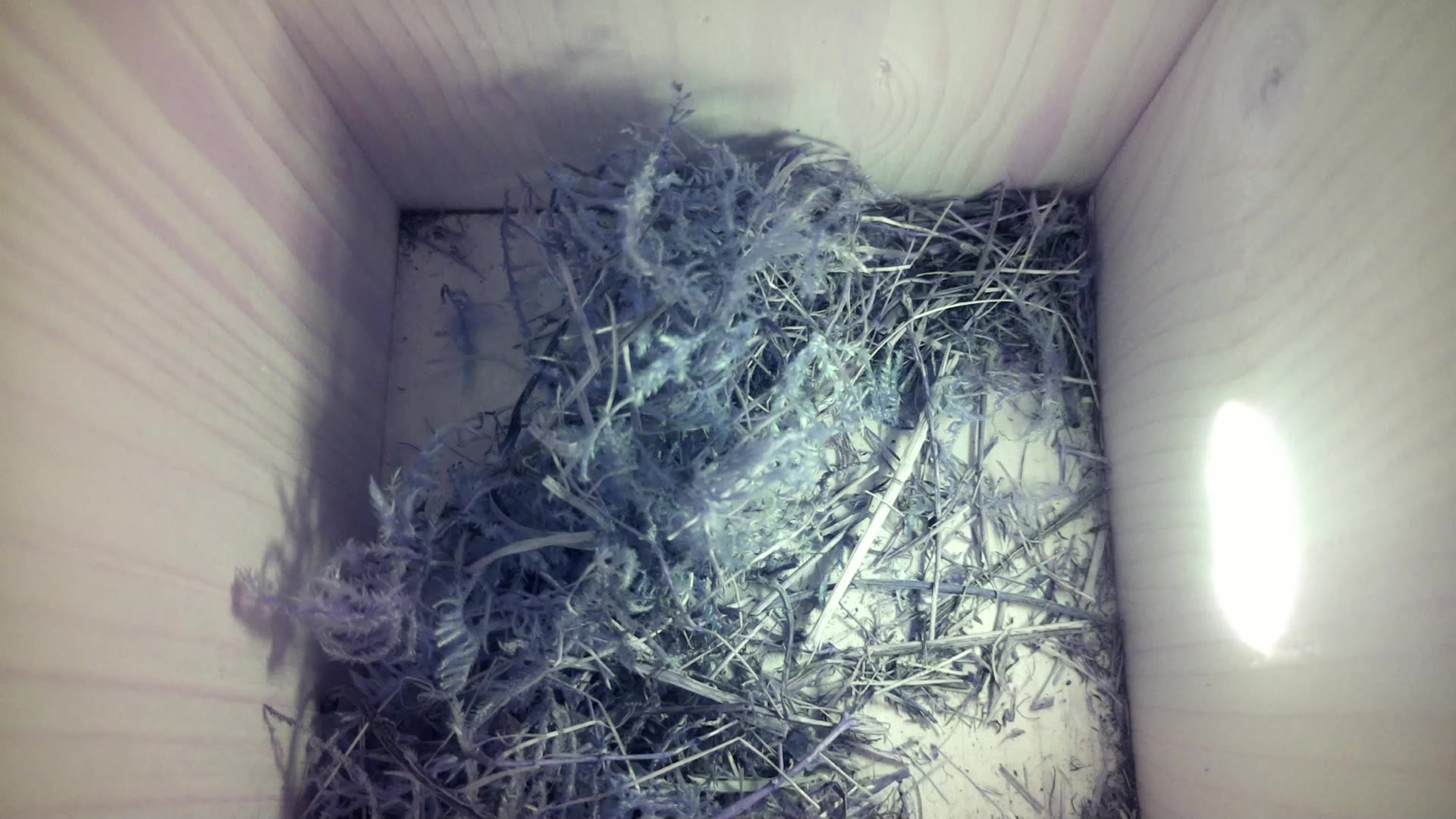 Aufnahme aus dem Vogelhaus