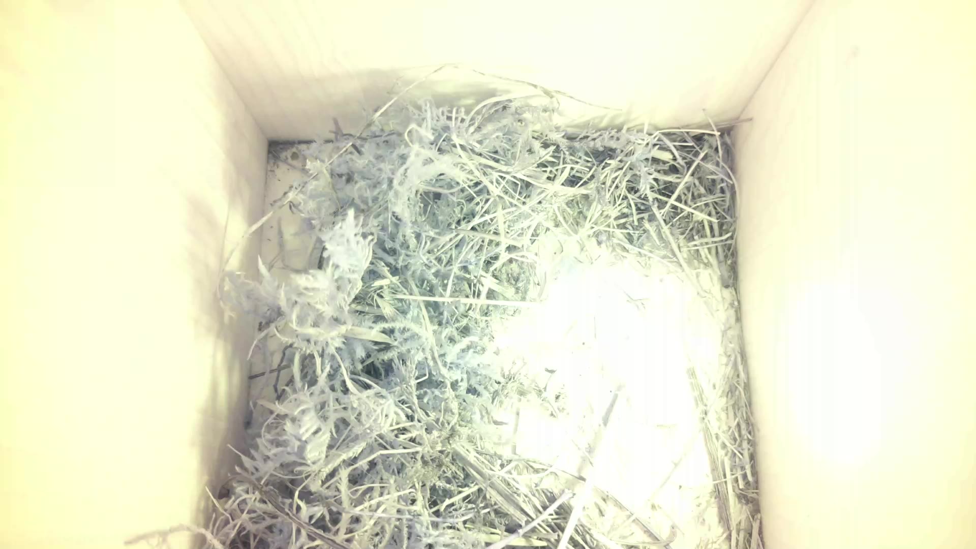 Aufnahme aus dem Vogelhaus