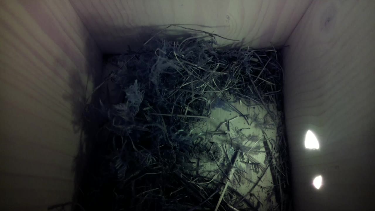 Aufnahme aus dem Vogelhaus