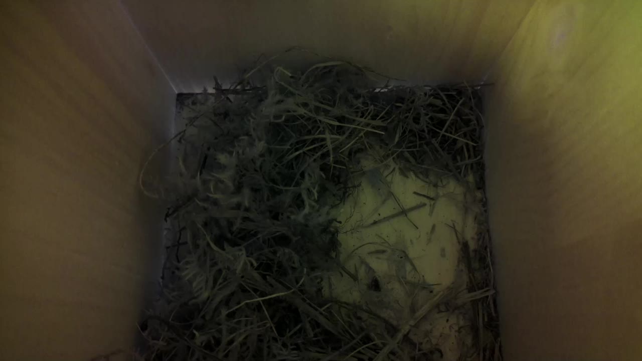 Aufnahme aus dem Vogelhaus