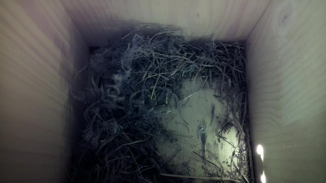 Aufnahme aus dem Vogelhaus