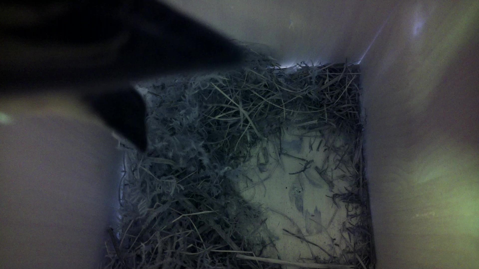 Aufnahme aus dem Vogelhaus