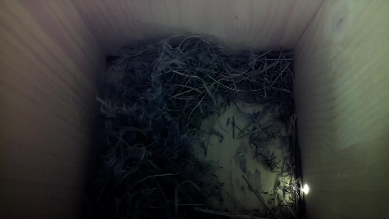 Aufnahme aus dem Vogelhaus