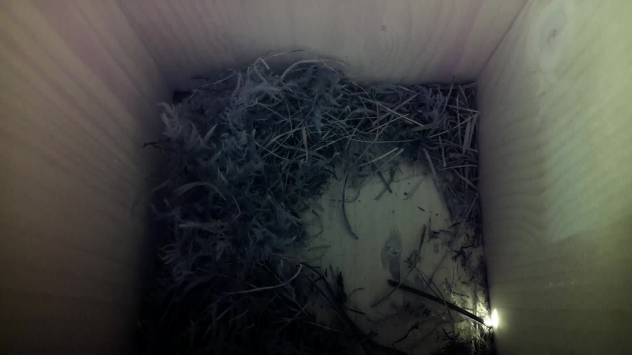 Aufnahme aus dem Vogelhaus