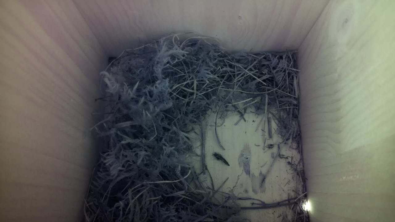 Aufnahme aus dem Vogelhaus