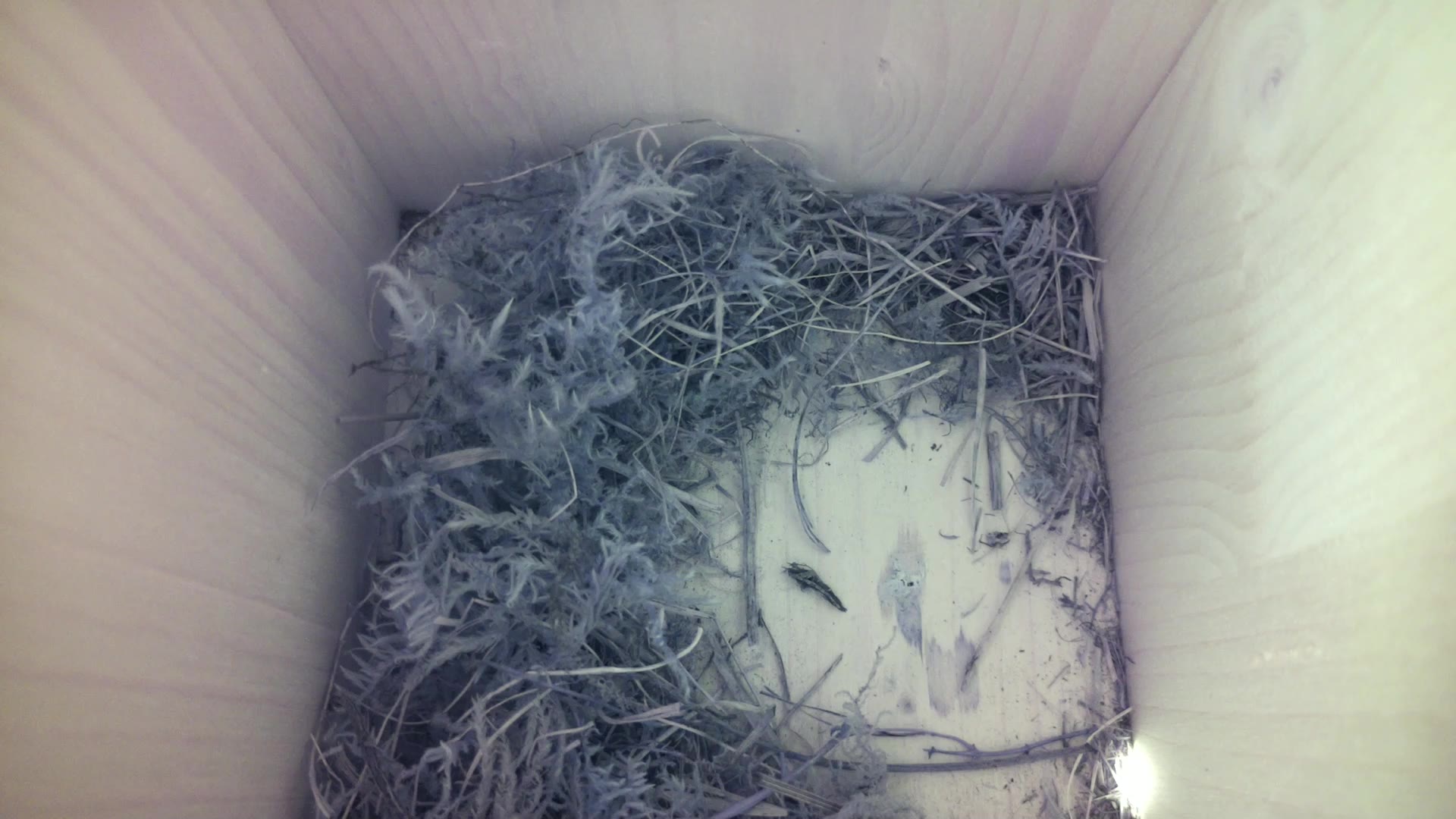 Aufnahme aus dem Vogelhaus