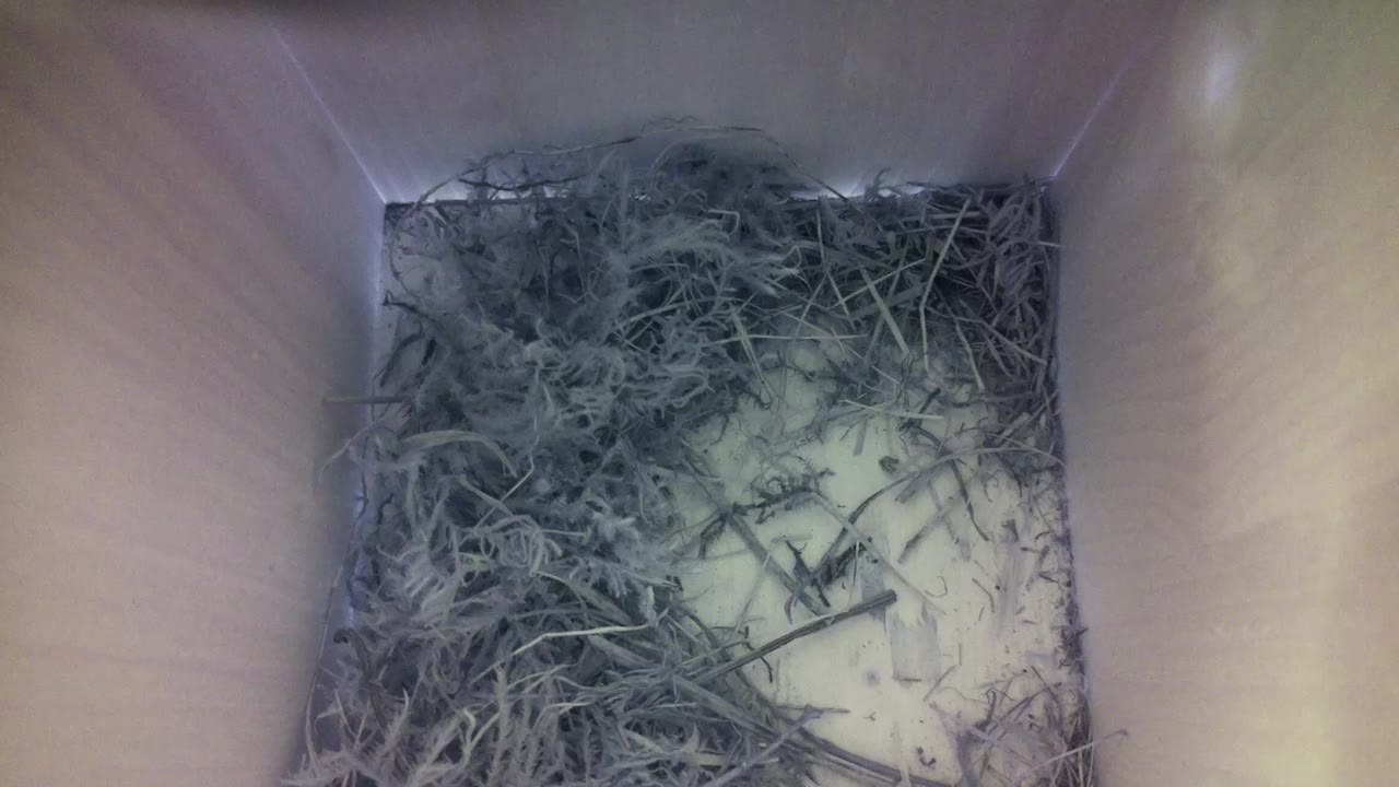 Aufnahme aus dem Vogelhaus