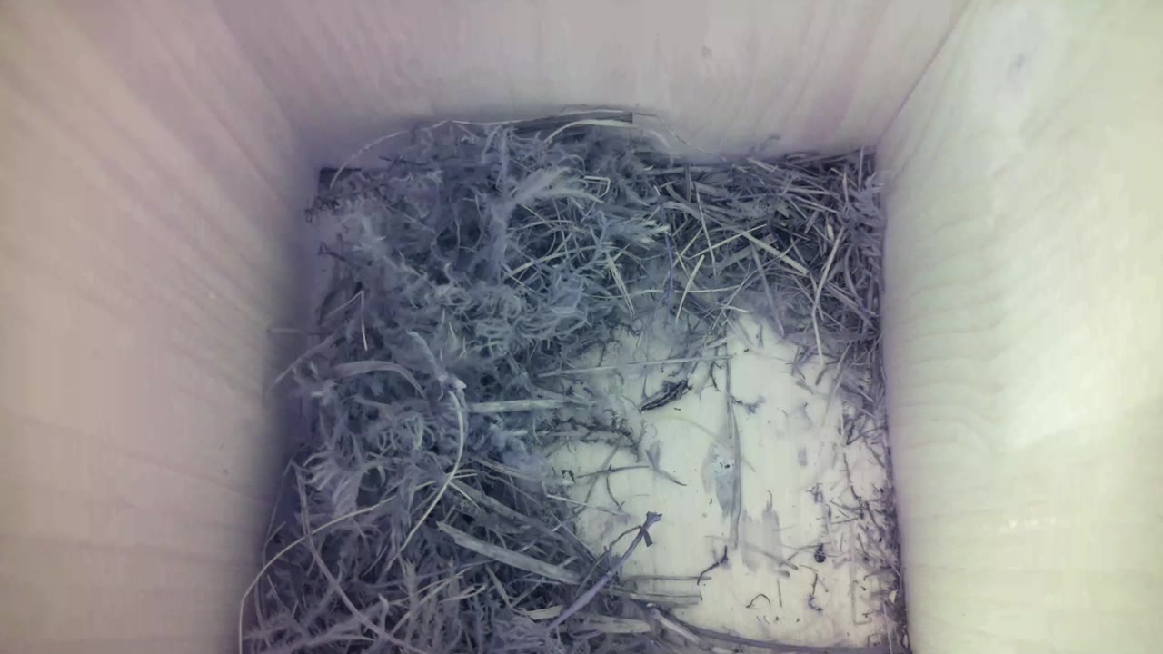 Aufnahme aus dem Vogelhaus