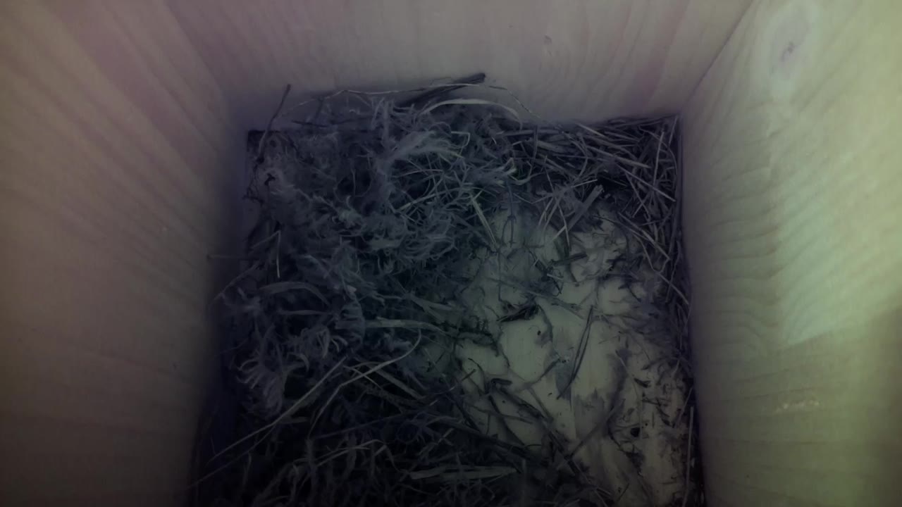 Aufnahme aus dem Vogelhaus