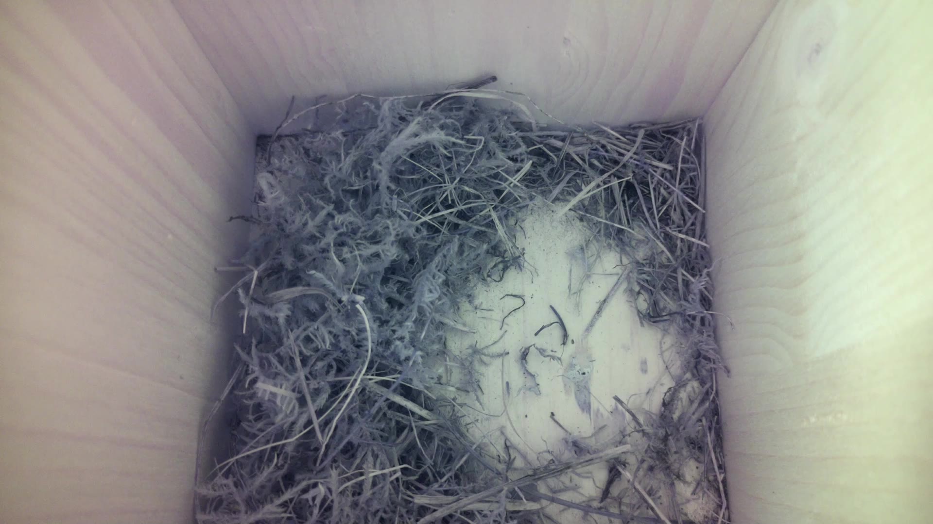 Aufnahme aus dem Vogelhaus