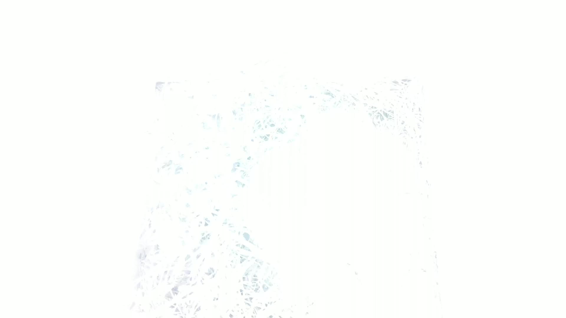 Aufnahme aus dem Vogelhaus