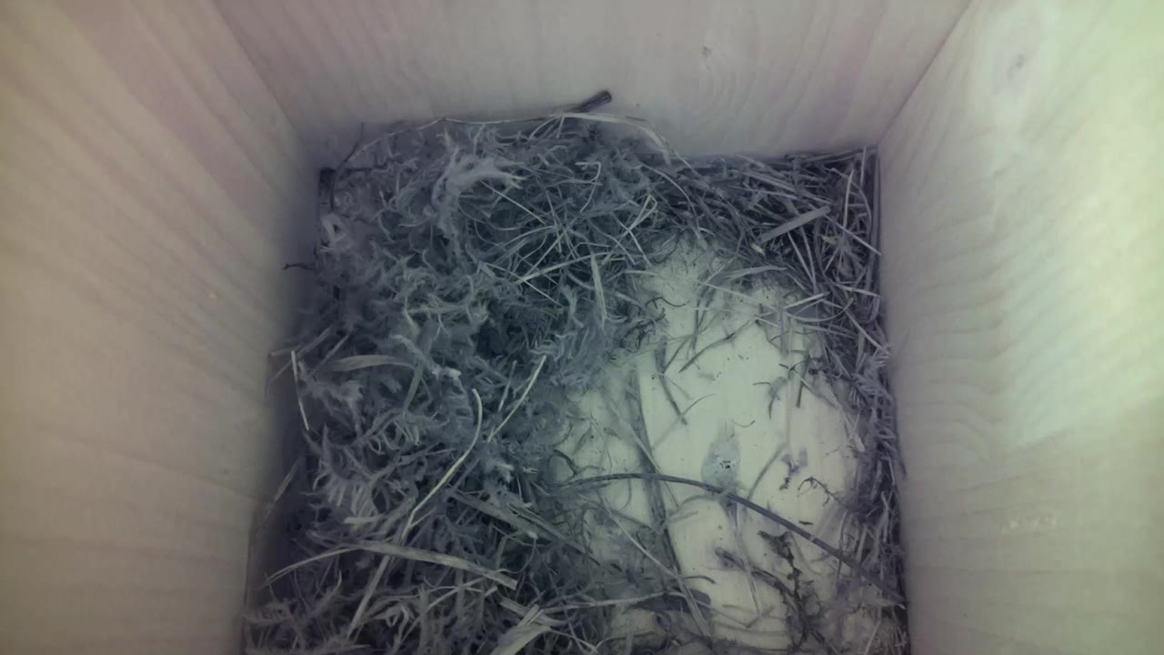 Aufnahme aus dem Vogelhaus