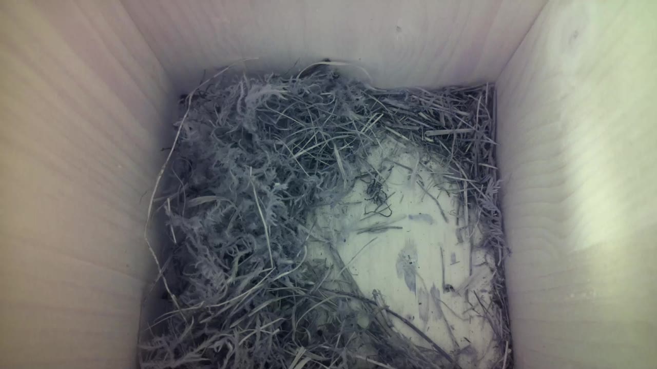 Aufnahme aus dem Vogelhaus