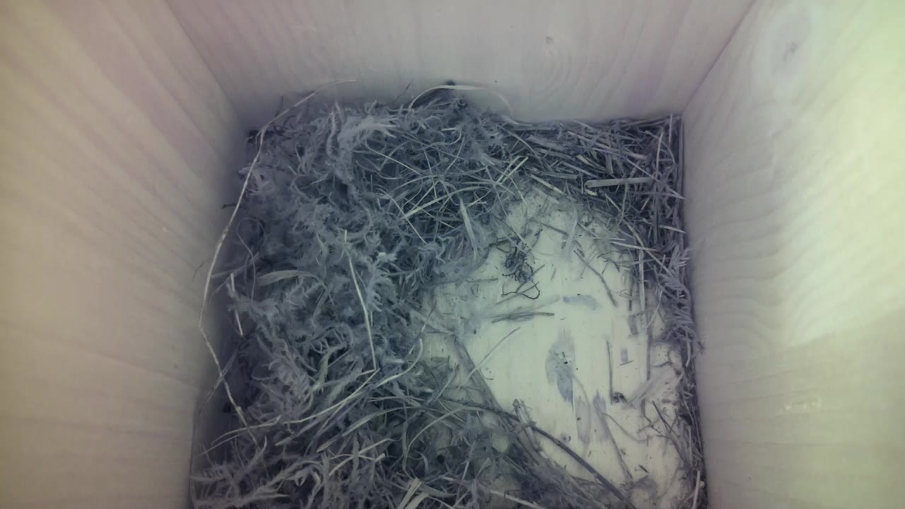 Aufnahme aus dem Vogelhaus