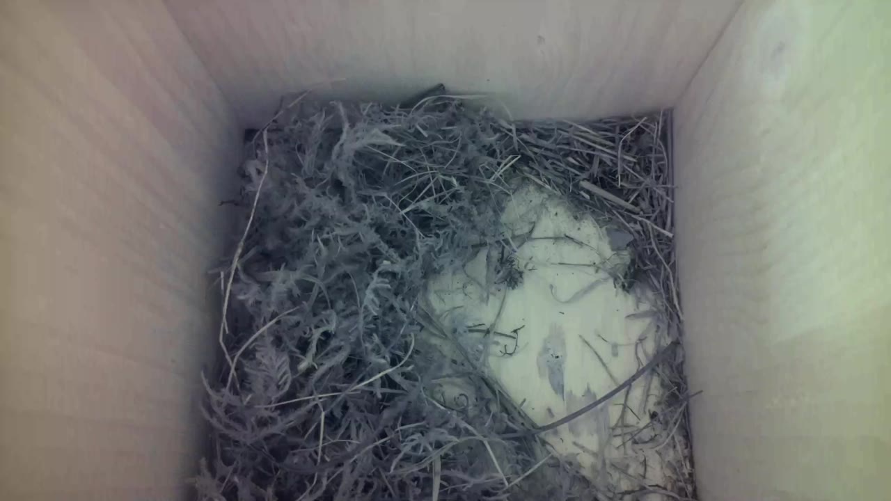 Aufnahme aus dem Vogelhaus