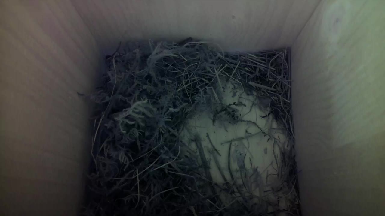 Aufnahme aus dem Vogelhaus