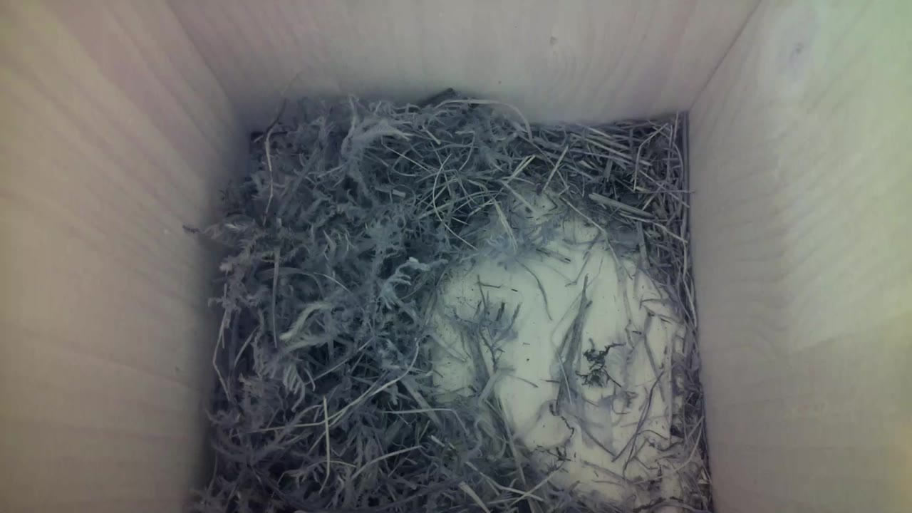 Aufnahme aus dem Vogelhaus