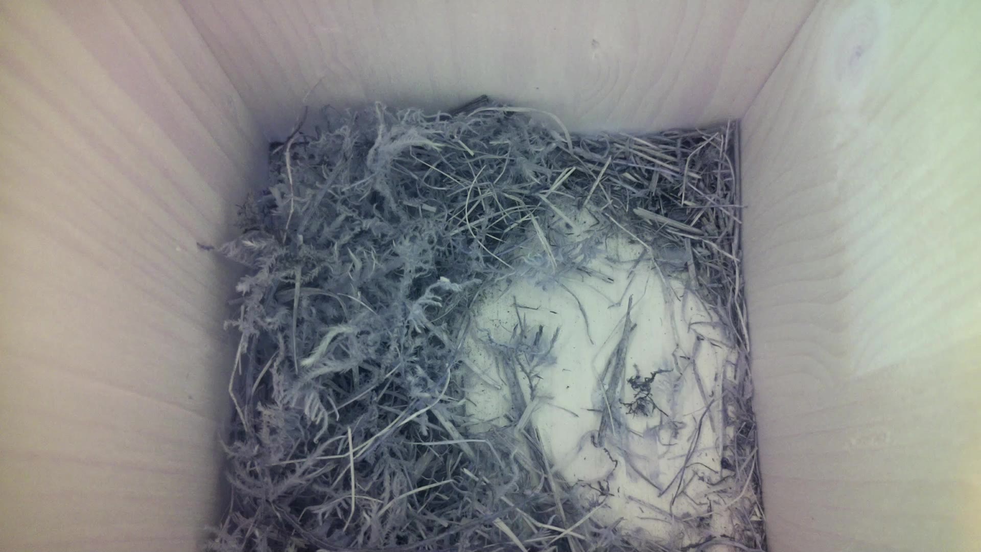Aufnahme aus dem Vogelhaus