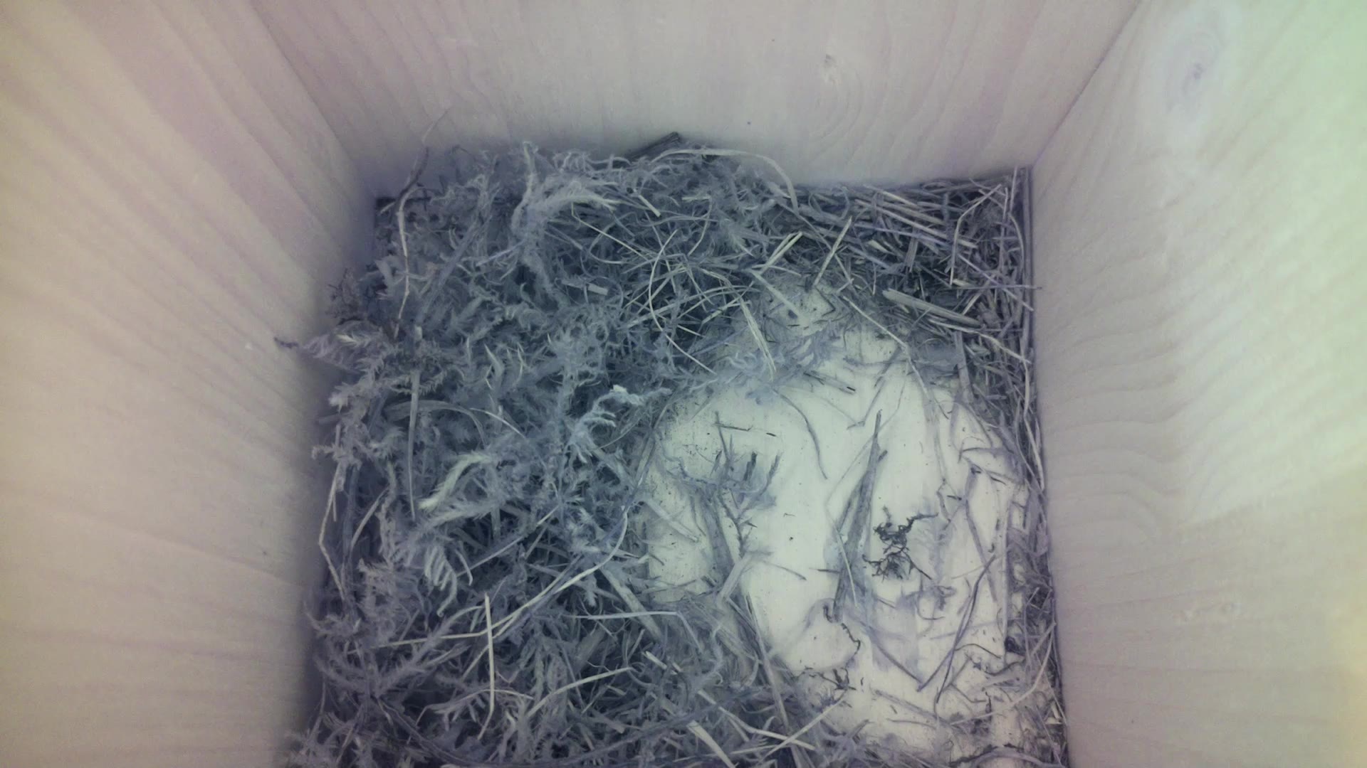 Aufnahme aus dem Vogelhaus