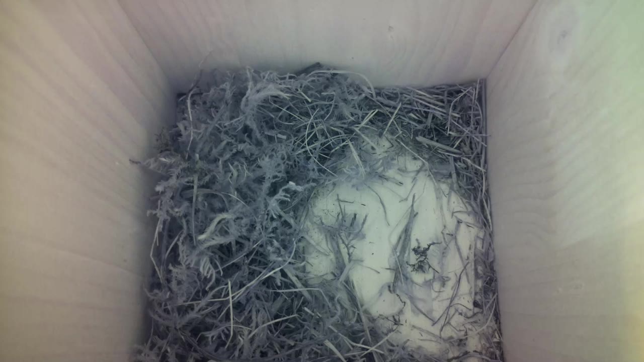 Aufnahme aus dem Vogelhaus