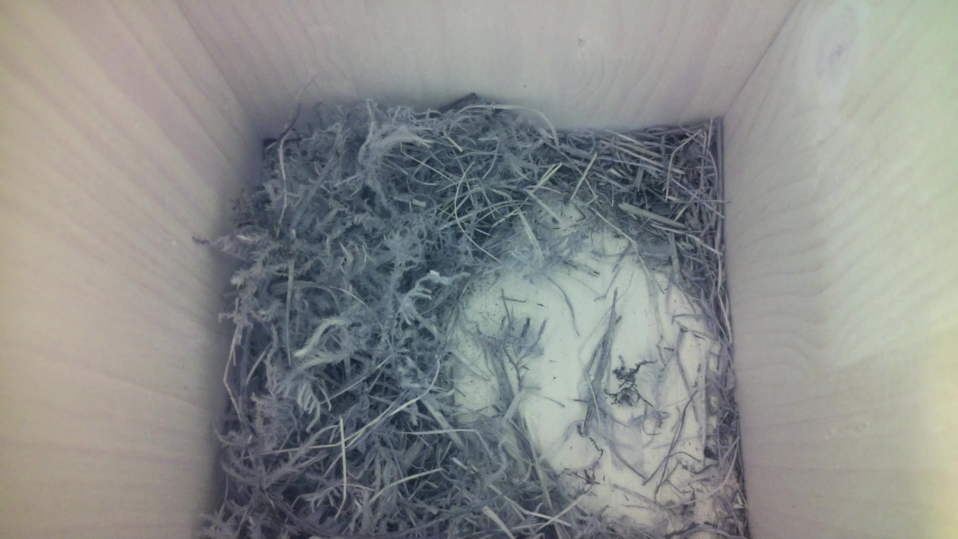 Aufnahme aus dem Vogelhaus