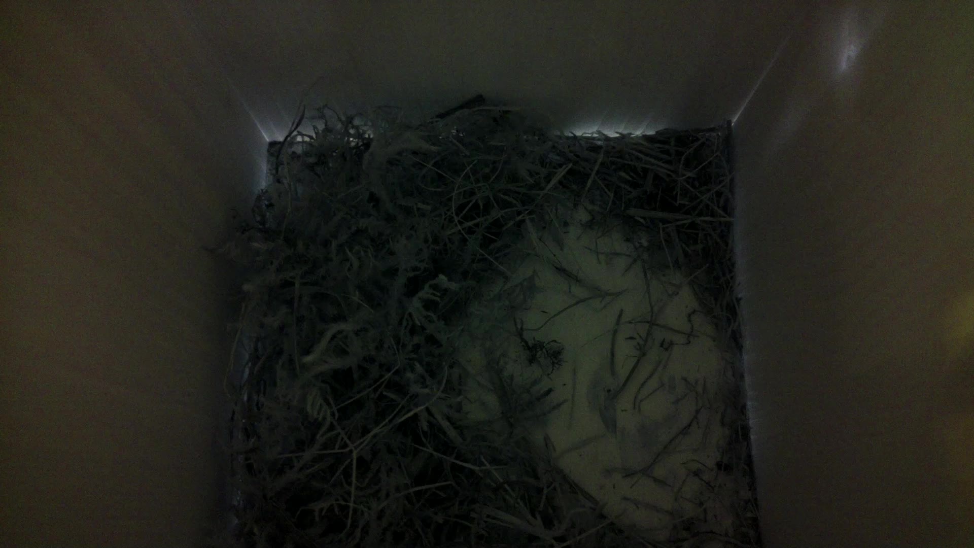 Aufnahme aus dem Vogelhaus