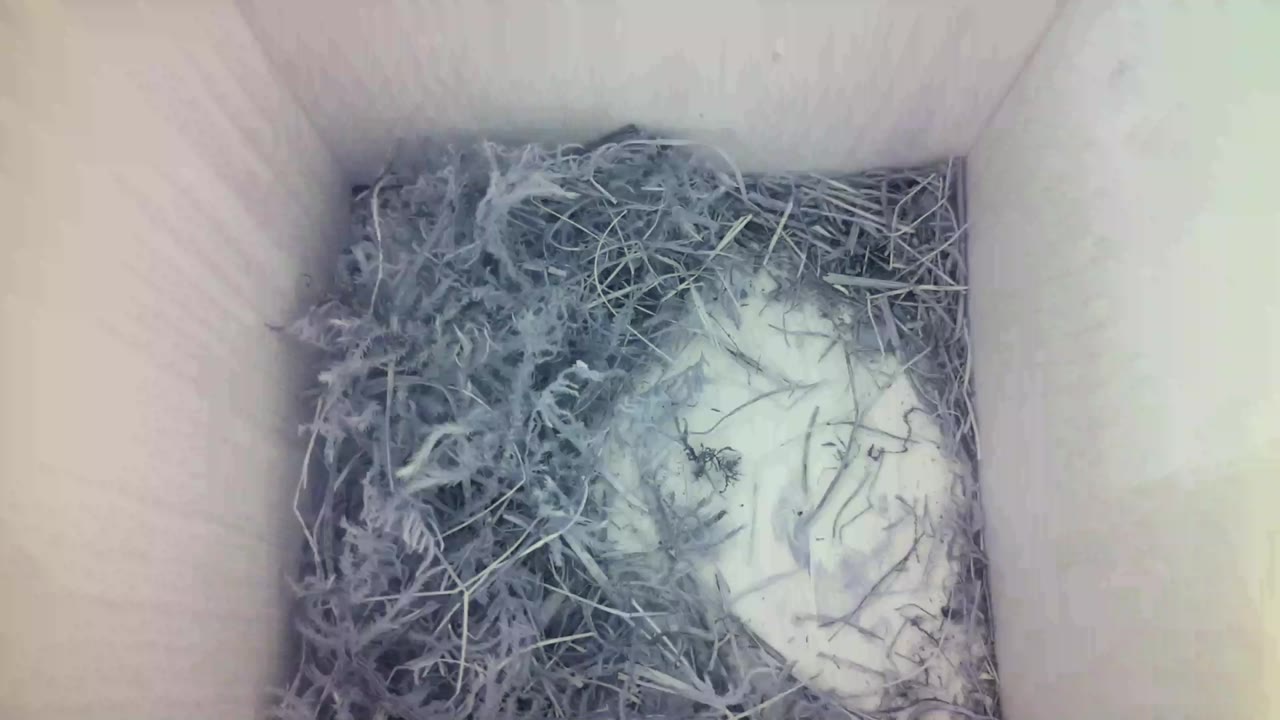 Aufnahme aus dem Vogelhaus
