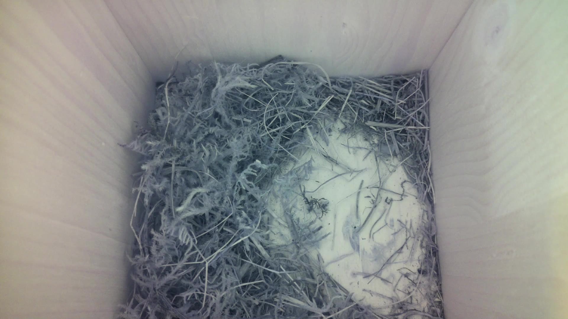 Aufnahme aus dem Vogelhaus