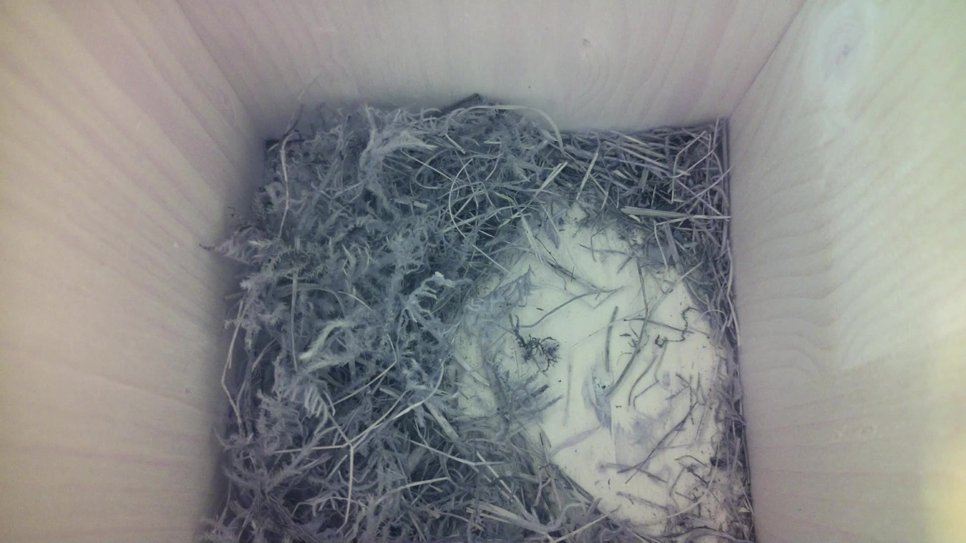 Aufnahme aus dem Vogelhaus