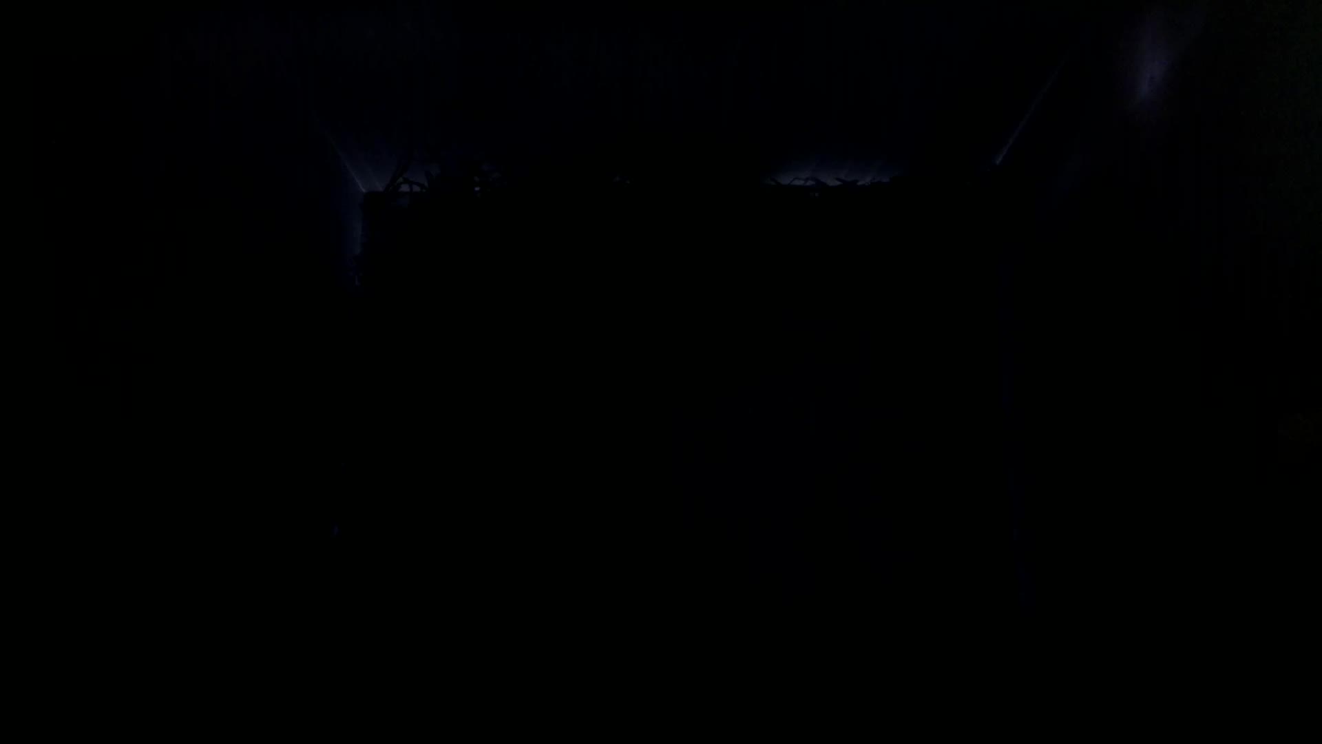 Aufnahme aus dem Vogelhaus